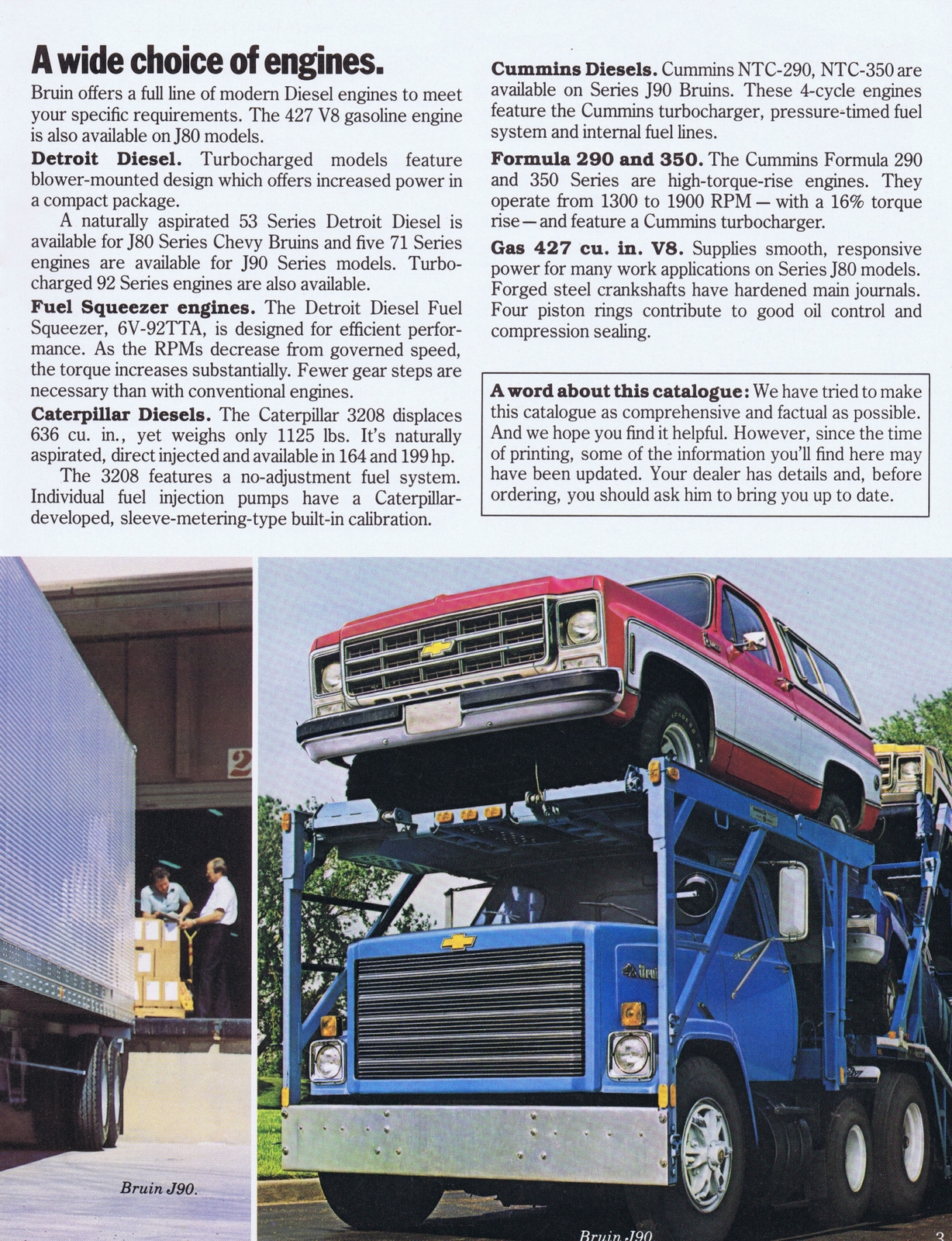 n_1979 Chevrolet Bruin-03.jpg